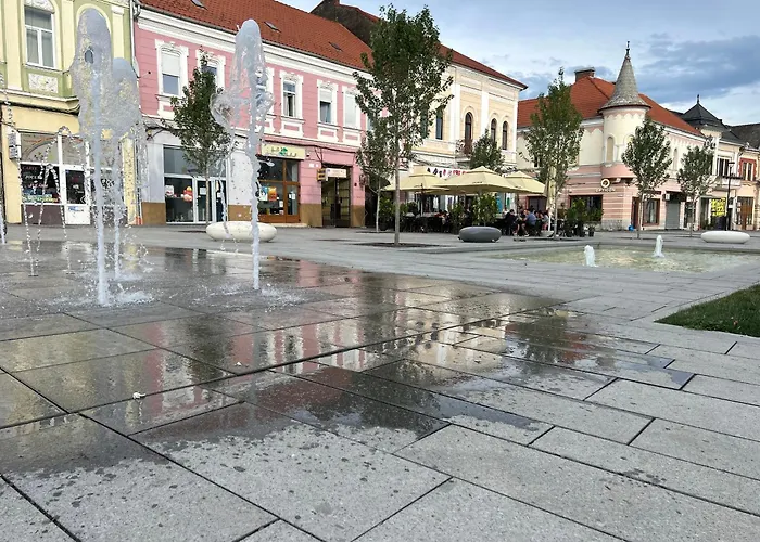 Apartament Vlad