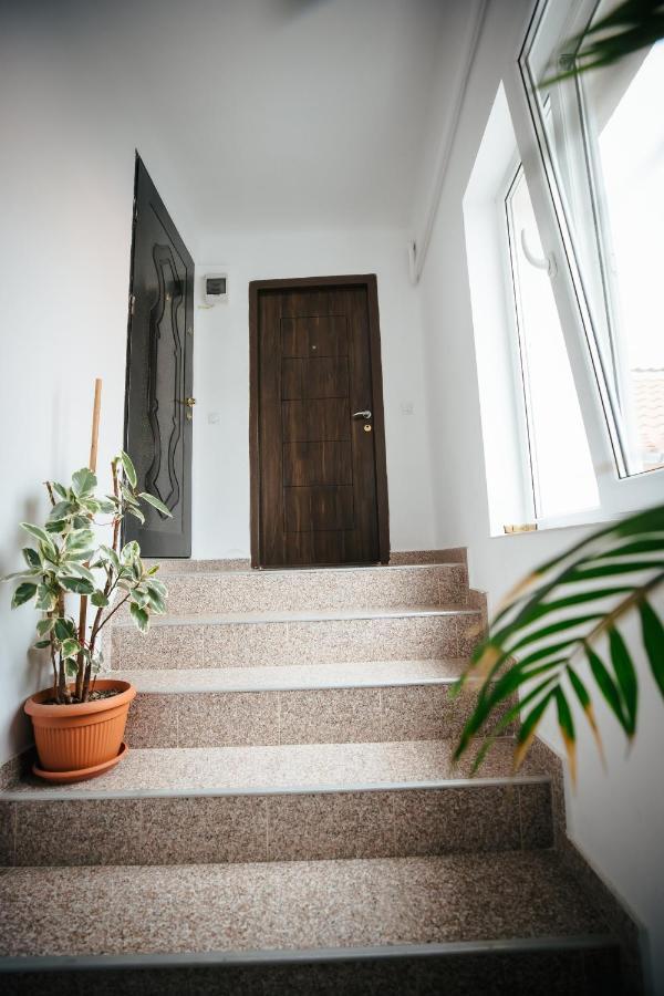 Vlad Apartment